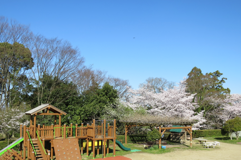 奈良教育大学附属こども園
